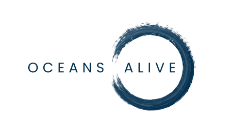 Oceans Alive Kenya